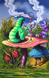 tumblr_n3kdg19Z6j1rrj3pro1_500