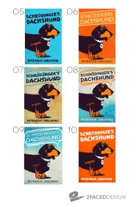 SD_cover_options_02_2Faced_Design