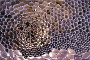 sub-buzz-12515-1466518281-1