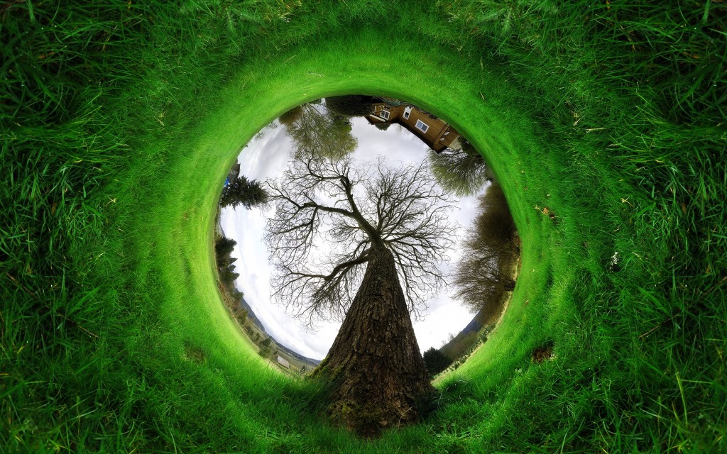 green-grass-landscape-photo-wide-pc