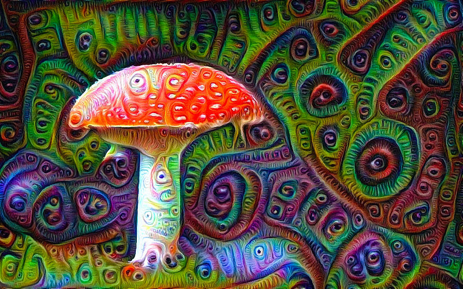 fly-agaric-magic-mushroom-deep-dream-matthias-hauser
