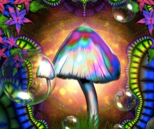 magic_mushroom