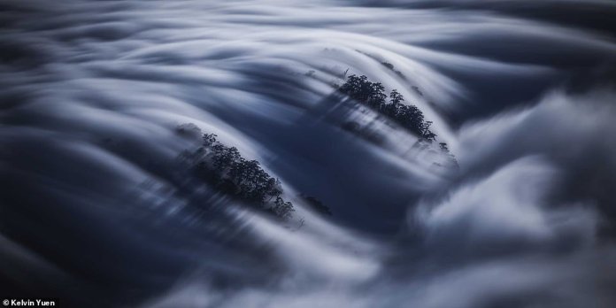 6375098-6405507-image-a-65_1542624727959