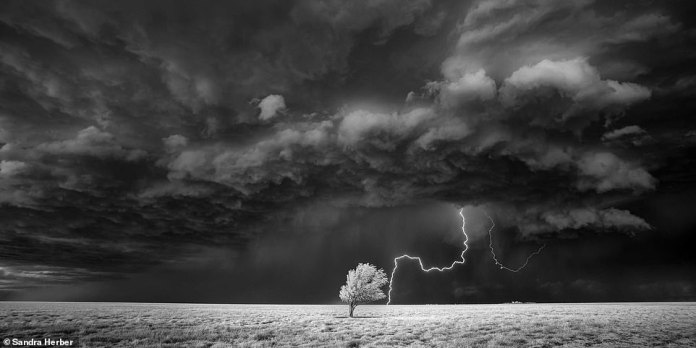 6375102-6405507-image-a-82_1542624877366