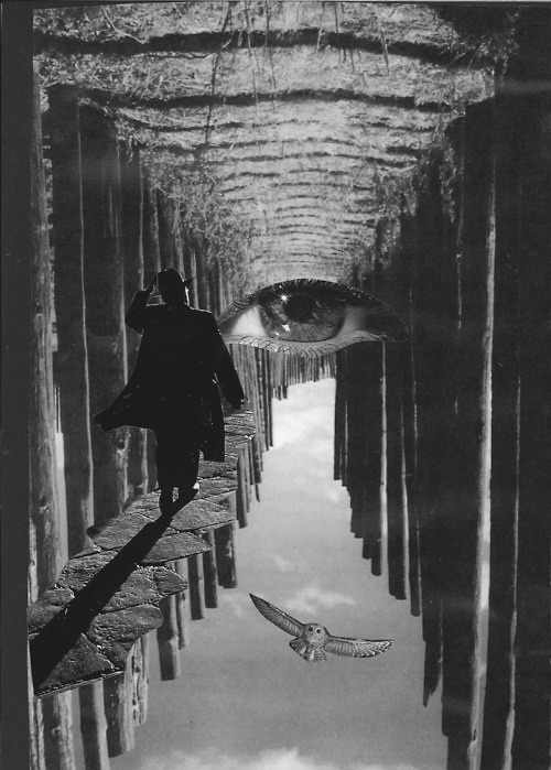 tumblr_mjxxczudH01rzam7vo1_500